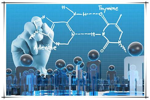 马来西亚思特雅大学本科留学都有哪些基础专业(图1) 马来西亚思特雅大学本科留学都有哪些基础专业